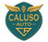Logo Caluso Auto srl